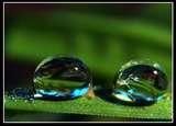 -Nota pentru poza- - ♫NǾi�y۞M�LǾdy♫ - GAMES