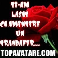 -Nota pentru poza- - ♫NǾi�y۞M�LǾdy♫ - GAMES