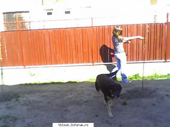 OuR LiTtLE PeT'S:D - Uiteo :]] =]] nu se vede prea bine - HALLO