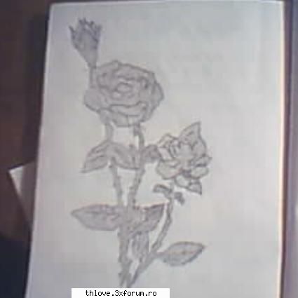desene by lala - asta nu prea se vede:)) e un trandafir orikm;-j - F A N A R T