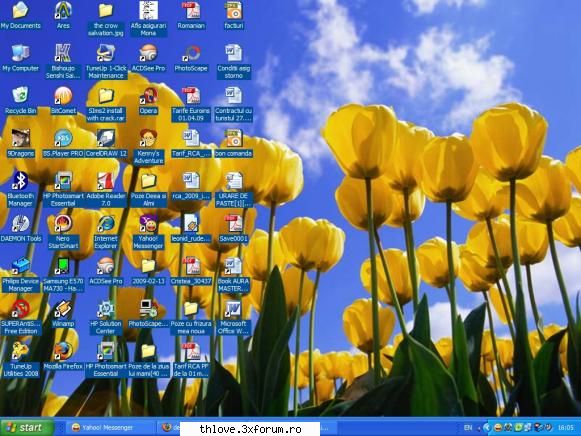 desktopul meu - al meu e cu lalele - GAMES