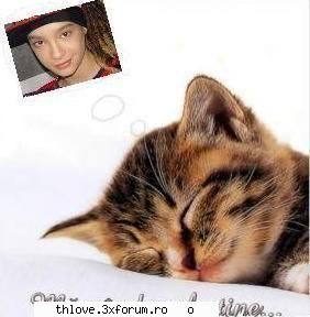 poze cu tom - Hell Kidoo love Bill - T O M  K A U L I T Z